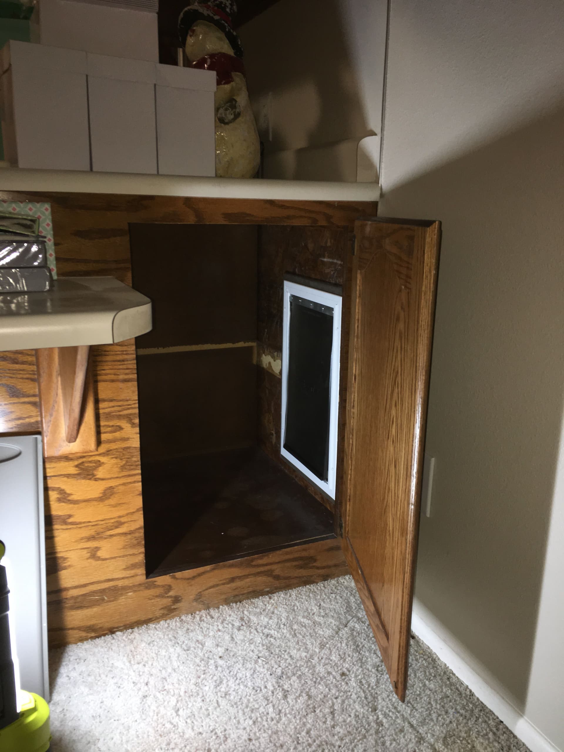 Innovative Pet Door Installation for Ultimate Pet Freedom