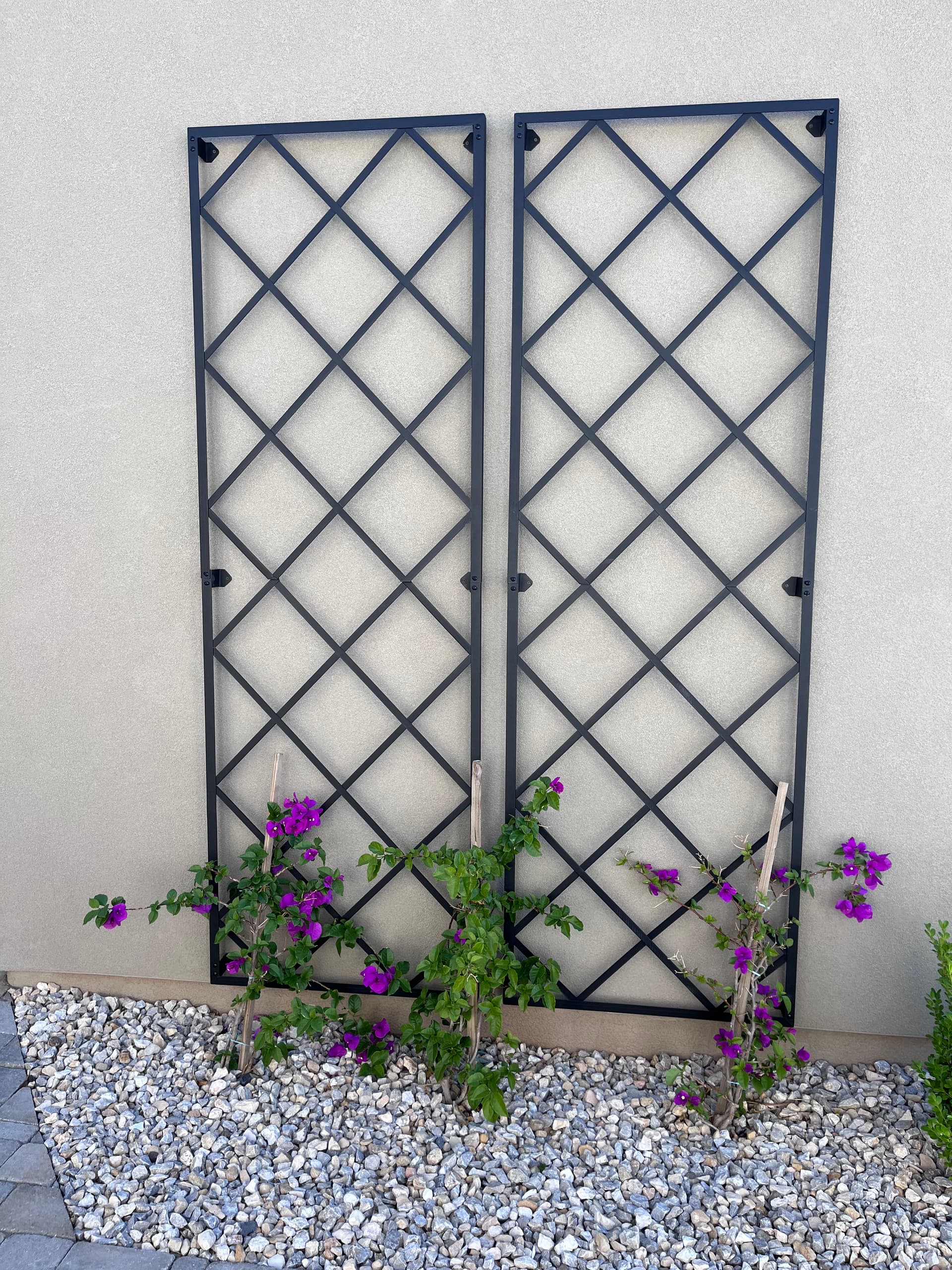 Gallery photos for Trellis Mount for Bougainvillea in St. George: Image #1