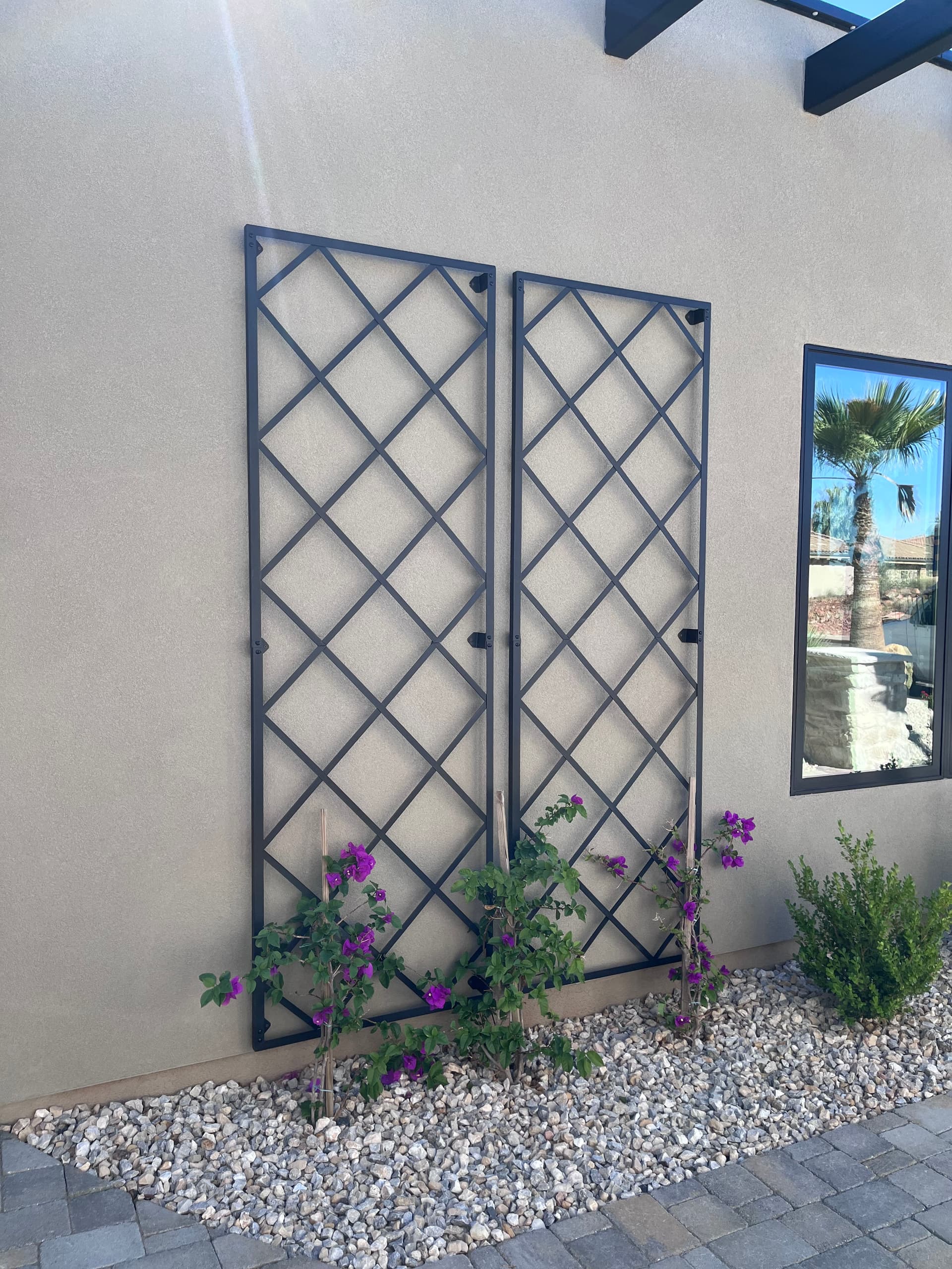 Trellis Mount for Bougainvillea in St. George image