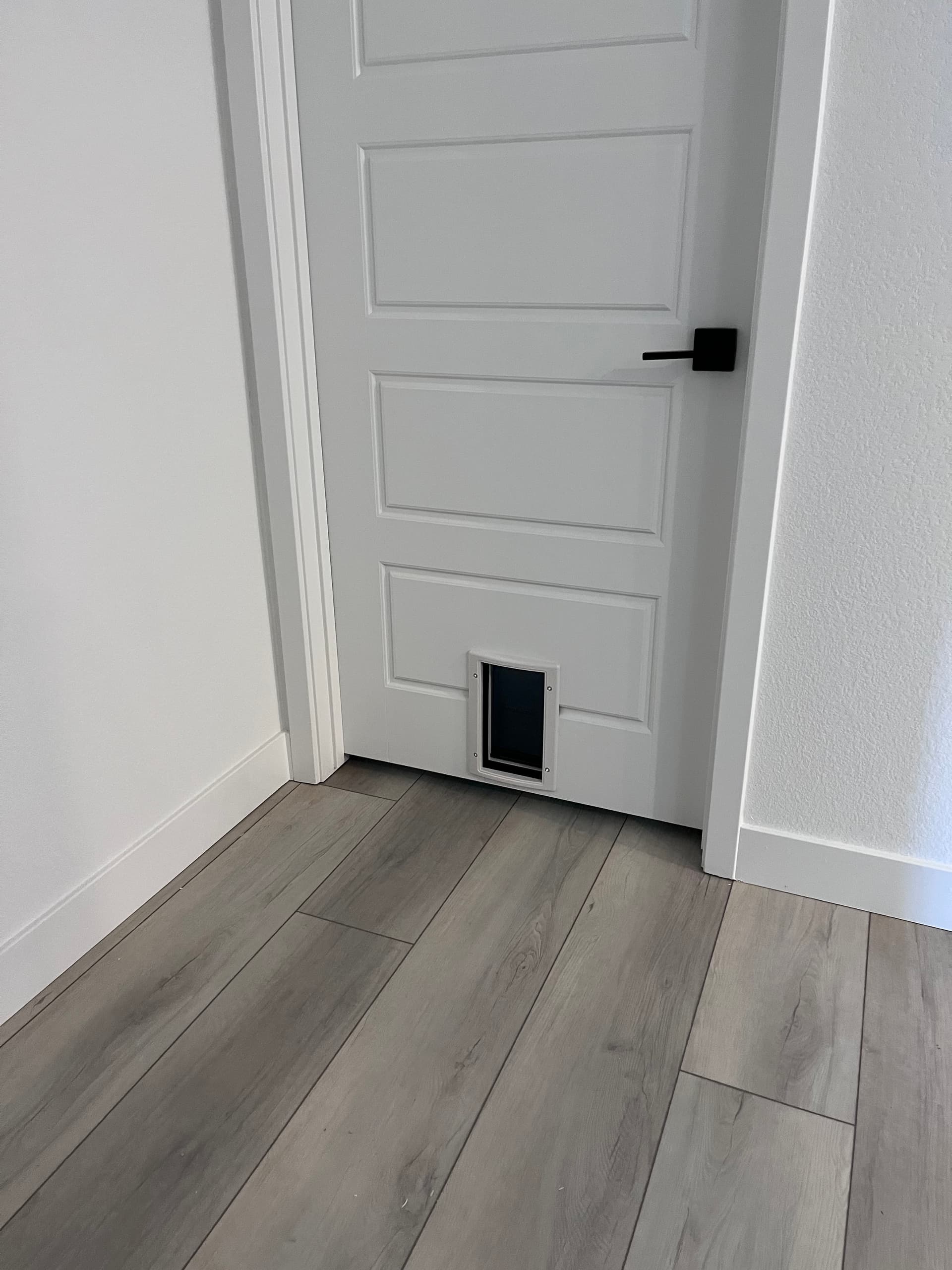 Gallery photos for Two Dog Door Installs That Make Life Easier in St. George: Image #5